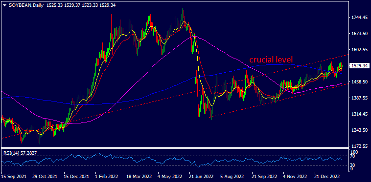graph image